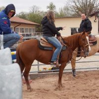 Sailin Jumping Joana American Quarter Horse Zuchtstute
